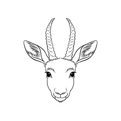 Wall Mural - sketch of antelopes head, portrait of forest animal black and white hand drawn vector illustration