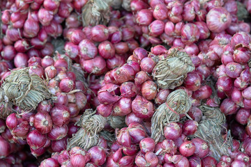 Shredded shallots, after picking up the produce from the shallot garden, then dried to bring the food. It is popular with Asians and This is not the case. Health benefits.