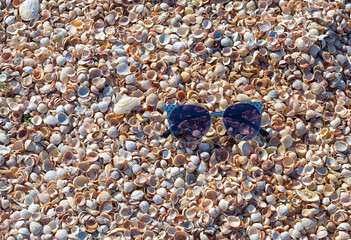 Women's sun-glasses on a background of small shells.