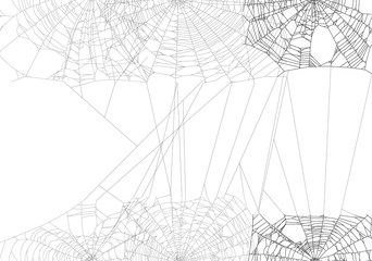 Wall Mural - black spider large web isolated on white