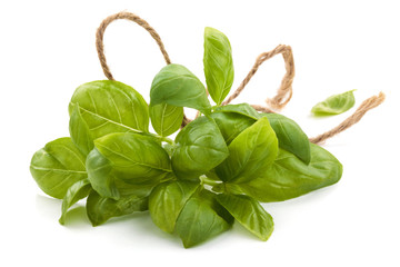 Wall Mural - Fresh herbs on white.