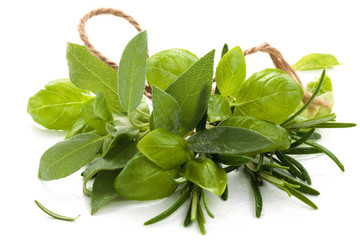 Wall Mural - Fresh herbs on white.