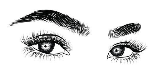 Hand-drawn woman's fresh luxurious eye with perfectly shaped eyebrows and full lashes. Idea for business visit card, typography vector. Perfect salon look.