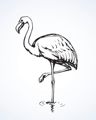 Sticker - Flamingo. Vector drawing