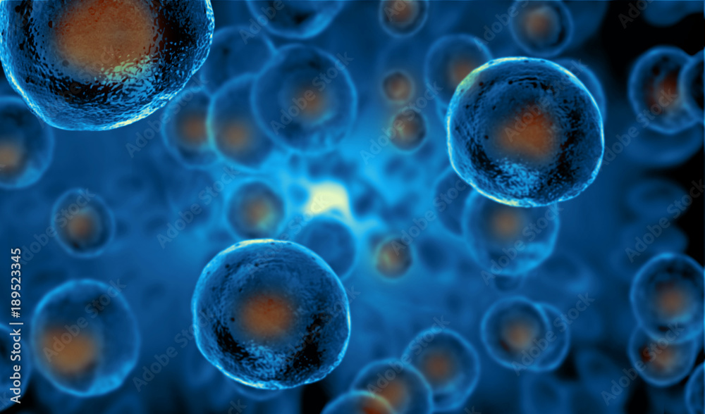 Embryonic stem cells , Cellular therapy , Regeneration , Disease treatment - obrazy, fototapety, plakaty 