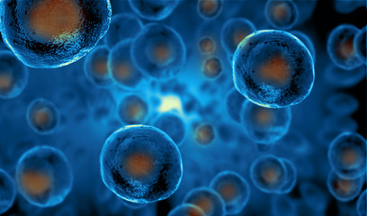 Wall Mural - embryonic stem cells , cellular therapy , regeneration , disease treatment