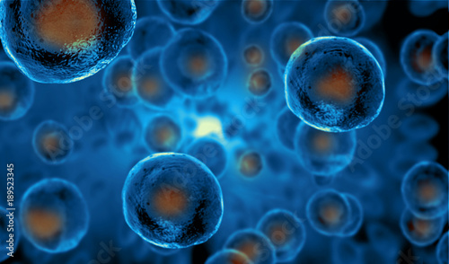 Fotografía Embryonic stem cells , Cellular therapy , Regeneration , Disease treatment