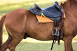 Saddle pads, stirrups, saddles