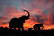 Elephant Family Silhouetted Against a Spectacular Snset on the Serengeti Plains of Africa