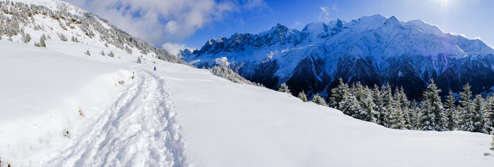 Wall Mural - Mont Blanc winter