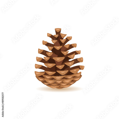 Fotografía Pine cone isolated on white background. Vector illustration.