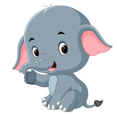 Sticker - cute baby elephant