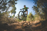 Fototapeta Sawanna - Wide angle view of a mountain biker speeding downhill on a mountain bike track in the woods
