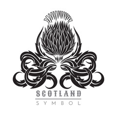 Silhouette of thistle with leaf pattern. Symbol of Scotland design element black on white