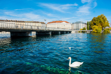 Wall Mural - Geneve