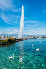 Canvas Print - Geneve