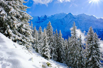 Wall Mural - Mont Blanc