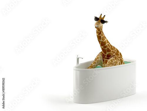 Giraffe in der Badewanne – kaufen Sie dieses Foto und finden Sie