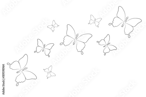 Schmetterlinge Zum Ausmalen Buy This Stock Vector And Explore
