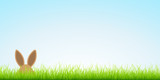 Fototapeta Miasto - Easter Bunny Hiding In Meadow Banner Sky