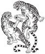 tigers fighting . Two roaring big cats in the battle . Black and white tattoo style vector illustration 