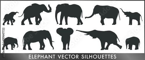 Photo Elephant vector silhouettes