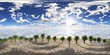 HDRI, environment map, Round panorama, spherical panorama, equidistant projection,
Palm trees in a row on a tropical beach
