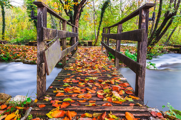 Canvas Print - Wooden tourist path in Plitvice lakes national park