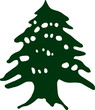 © Stefanina - Green Cedar / Lebanon Cedar