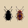 beetle  vector illustration flat style black silhouette