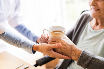 Health visitor and a senior woman during home visit.