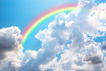Wall Mural - rainbow in blue sky.