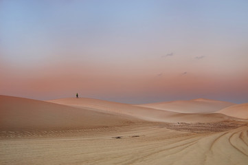 Desert landscape with landscape lines, gentle evening colors. A person's figure is far away on the top of the barkhan.
