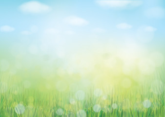 Wall Mural - vector summer nature background, blurred effect.
