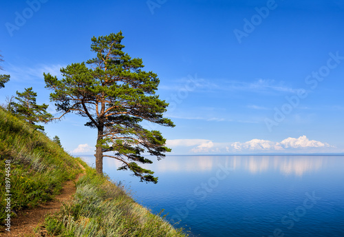 Fotomural One pine on hillside near Baikal water