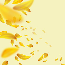 Flying Yellow Petals