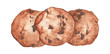 Chocolate chip cookies ,cookie with chocolate drops isolated on white background. Hand drawn watercolor food illustration