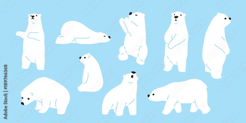 Photo Bear polar bear teddy vector icon character cartoon doodle illustration