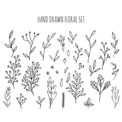 Wall Mural - Collection of hand drawn vector florals and branches with leaves