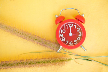 Red alarm clock and grass flower