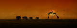 Fototapeta Dziecięca - African Animals Sunset Silhouette Banner