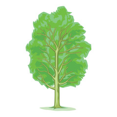 Poster - Tree Vector