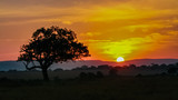Fototapeta Sawanna - Sunrise in Africa