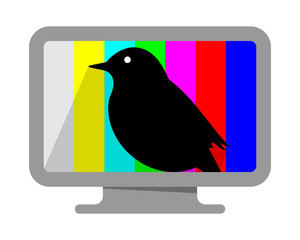Canvas Print - raven monitor 1