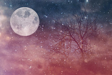 Surreal Fantasy Concept - Lonely Tree With Bare Branches And Full Moon With Stars Glitter In Night Skies Background. Vintage Style Filtered Image.
