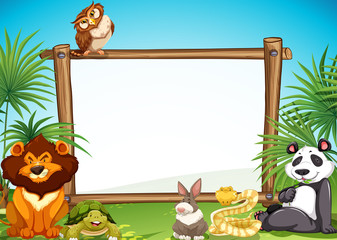 Wall Mural - border templae with wild animals in background