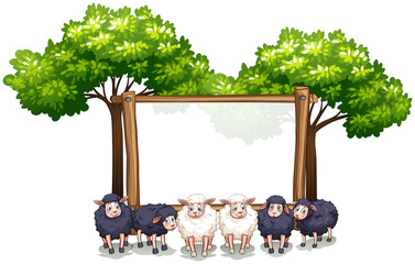 Wall Mural - wooden frame template with sheeps