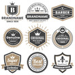 © toonsteb - Vintage Retro Vector Logo for banner
