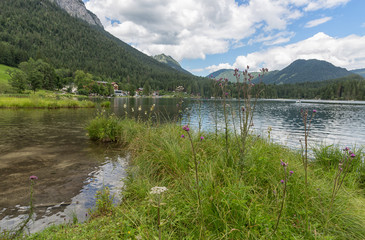 Lake Hintersee near Ramsau in Bavarian alps with blooming flowers and hotels along the lake shore