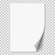 Vector white realistic paper page with curled corner.